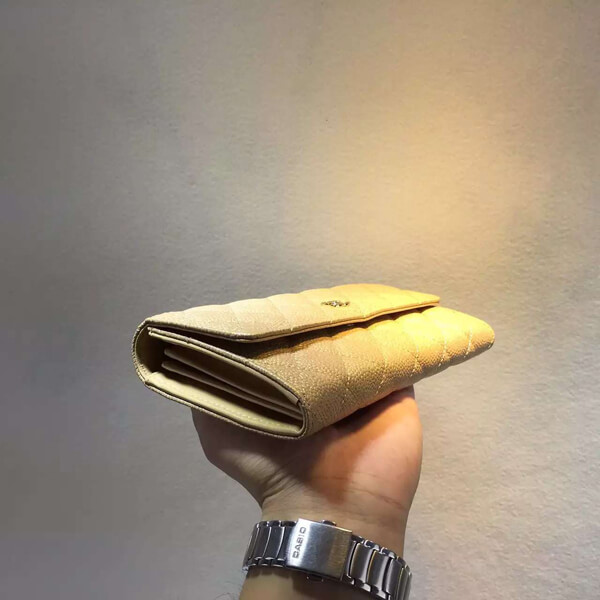 2015春夏新作 シャネルスーパーコピー《少数入荷 美グラデ 》 Zip Wallet